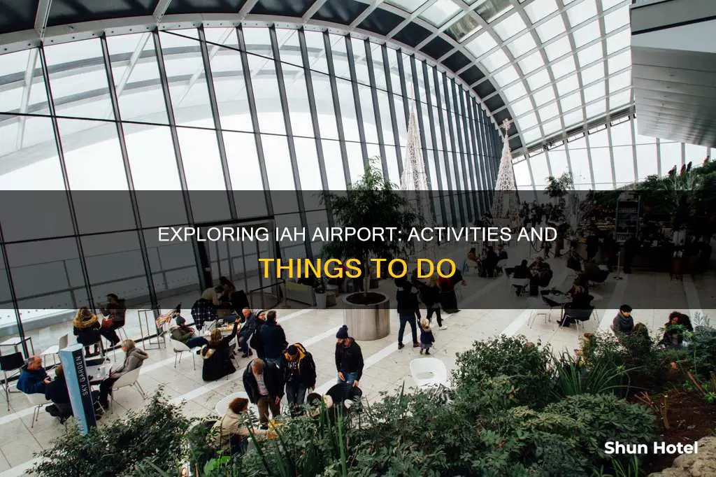what to do at iah airport