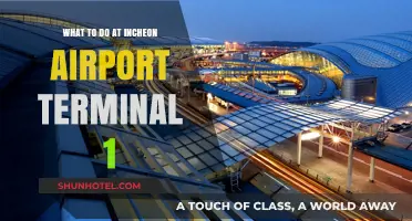 Exploring Incheon Airport Terminal 1: A Traveler's Guide