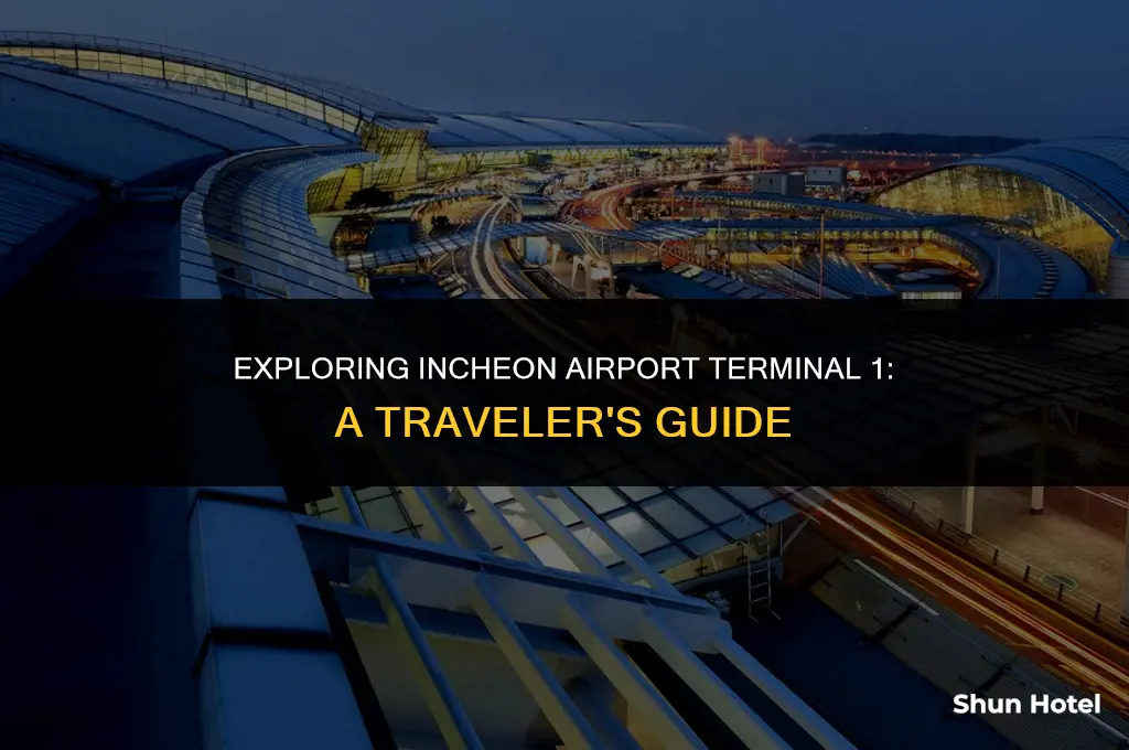 what to do at incheon airport terminal 1