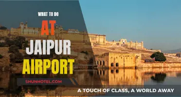 Exploring Jaipur: Airport Activities and Attractions