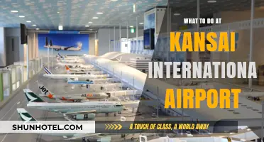 Explore Kansai International Airport: Top Activities and Hidden Gems