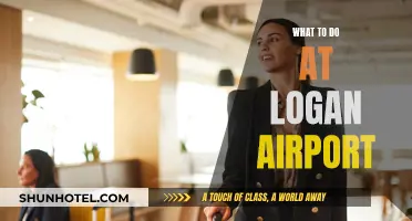 Exploring Logan Airport: Activities and Attractions
