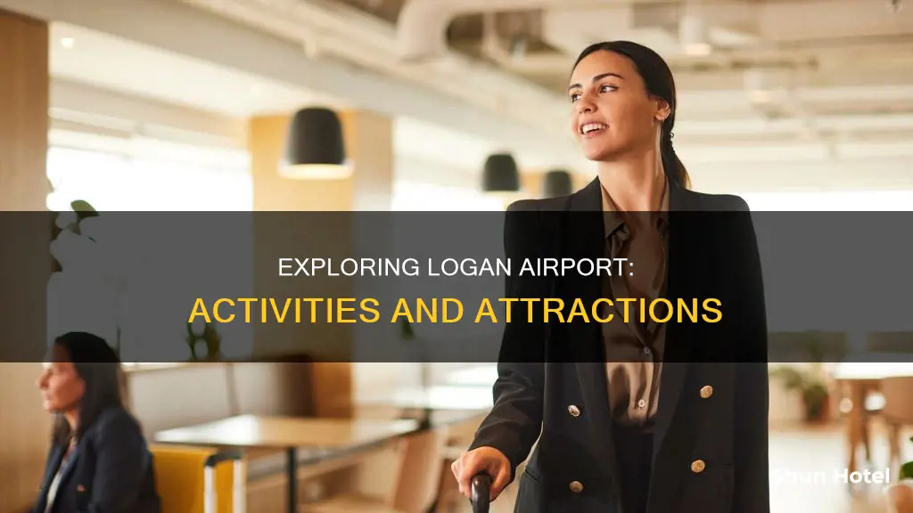 what to do at logan airport