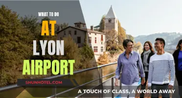 Exploring Lyon Airport: Activities and Attractions