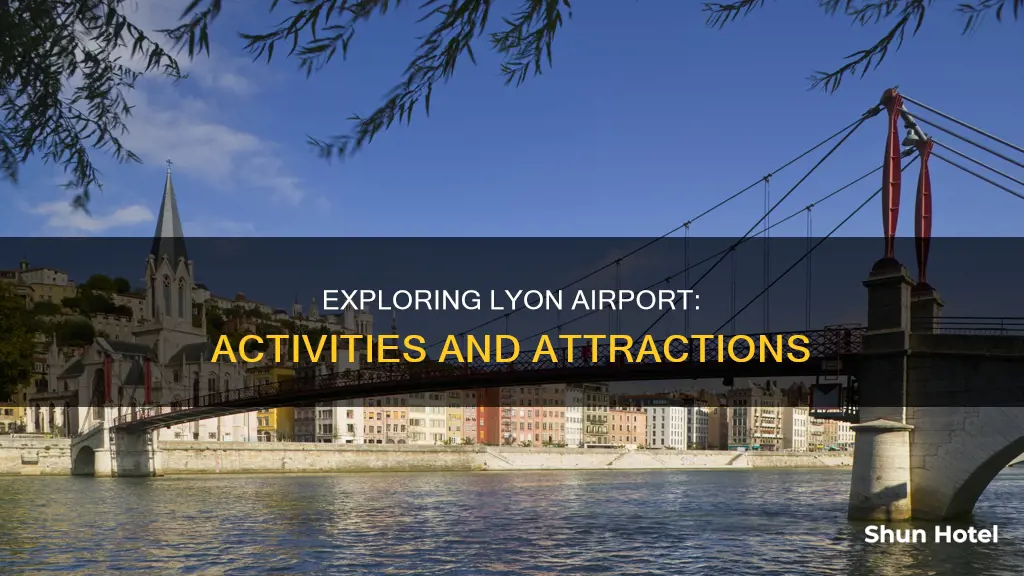 what to do at lyon airport