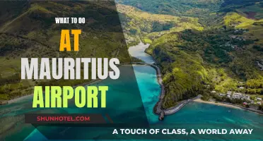 Exploring Mauritius: Activities at the Airport and Beyond