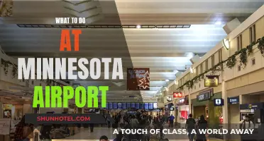 Explore Minnesota Airport: Activities and Attractions