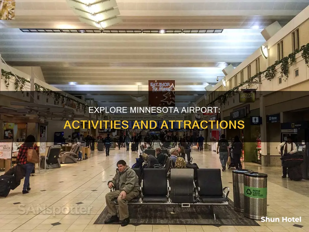 what to do at minnesota airport