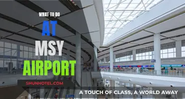 Exploring MSY Airport: Activities and Things to Do