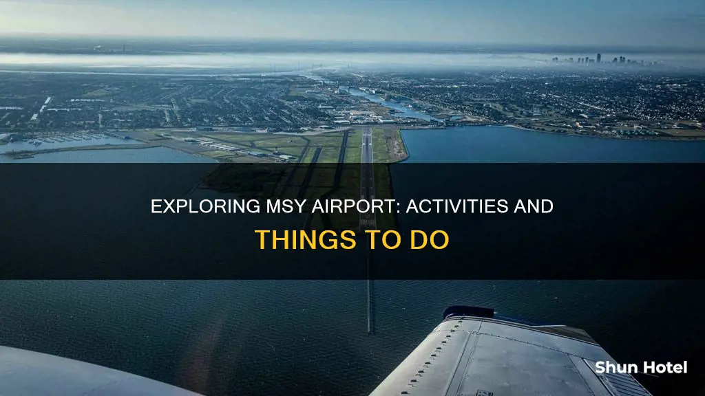 what to do at msy airport