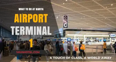 Exploring Narita Airport Terminal 1: A Comprehensive Guide