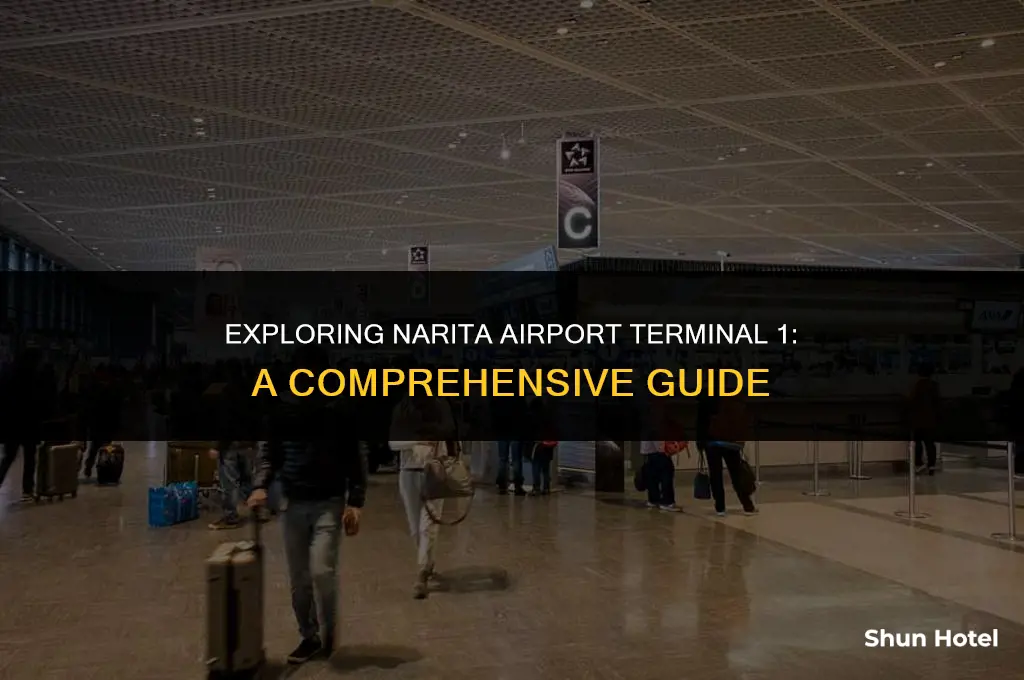 what to do at narita airport terminal 1