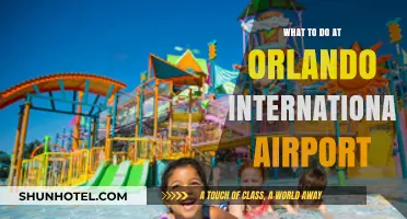 Orlando International Airport: Top Activities and Hidden Gems to Explore