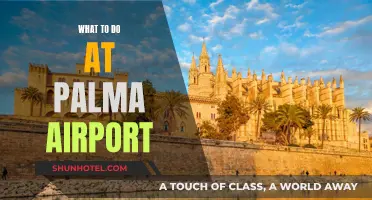 Exploring Palma Airport and Beyond: Things to Do