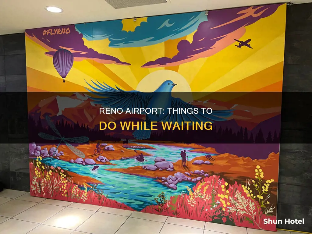 what to do at reno airport