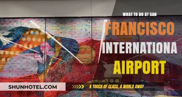 Top Activities and Hidden Gems at San Francisco International Airport