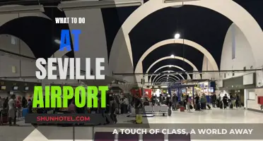 Exploring Seville: Airport Activities and Attractions
