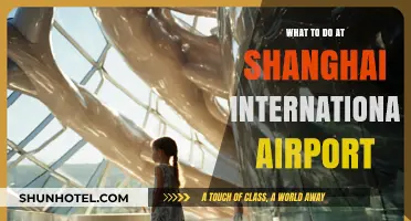 Exploring Shanghai International Airport: Top Activities and Hidden Gems