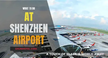 Exploring Shenzhen Airport: Things to Do and See