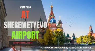 Exploring Shermetyevo Airport: Things to Do While Waiting
