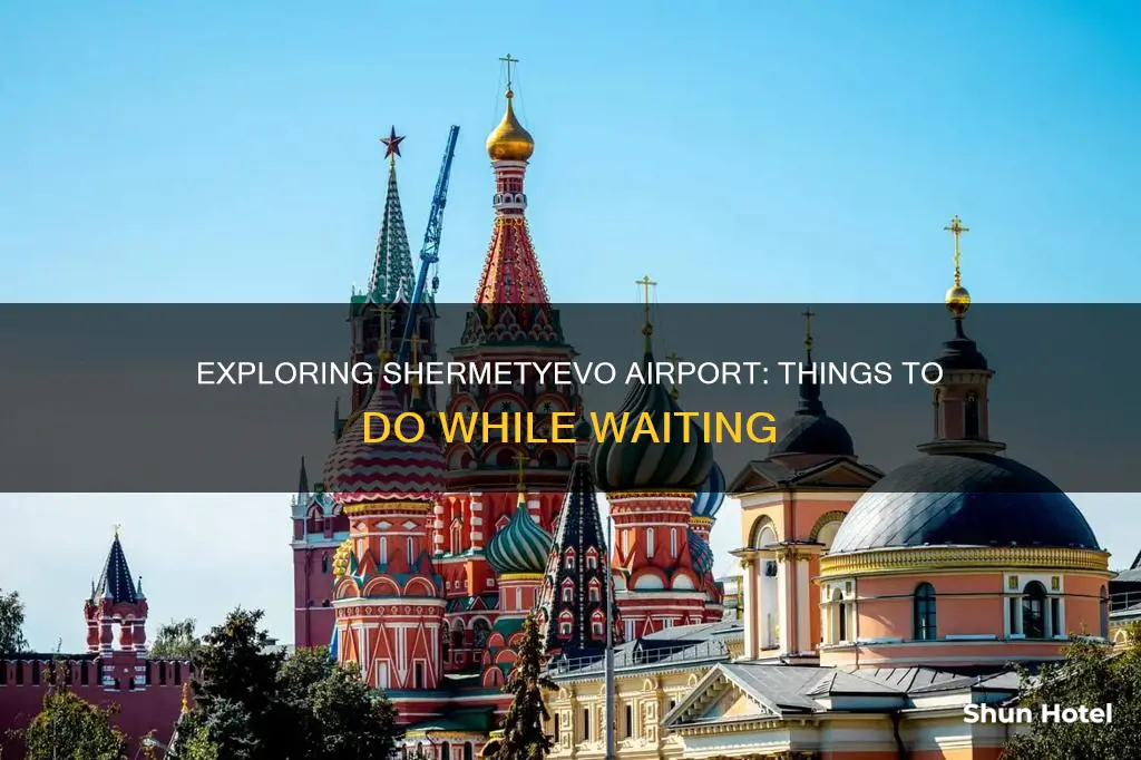 what to do at sheremetyevo airport
