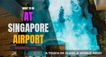 Exploring Singapore Airport: Activities and Attractions