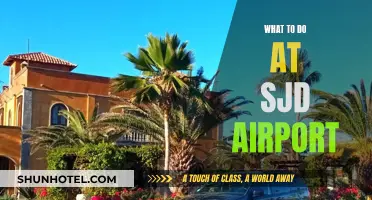Exploring SJD Airport: Activities and Attractions