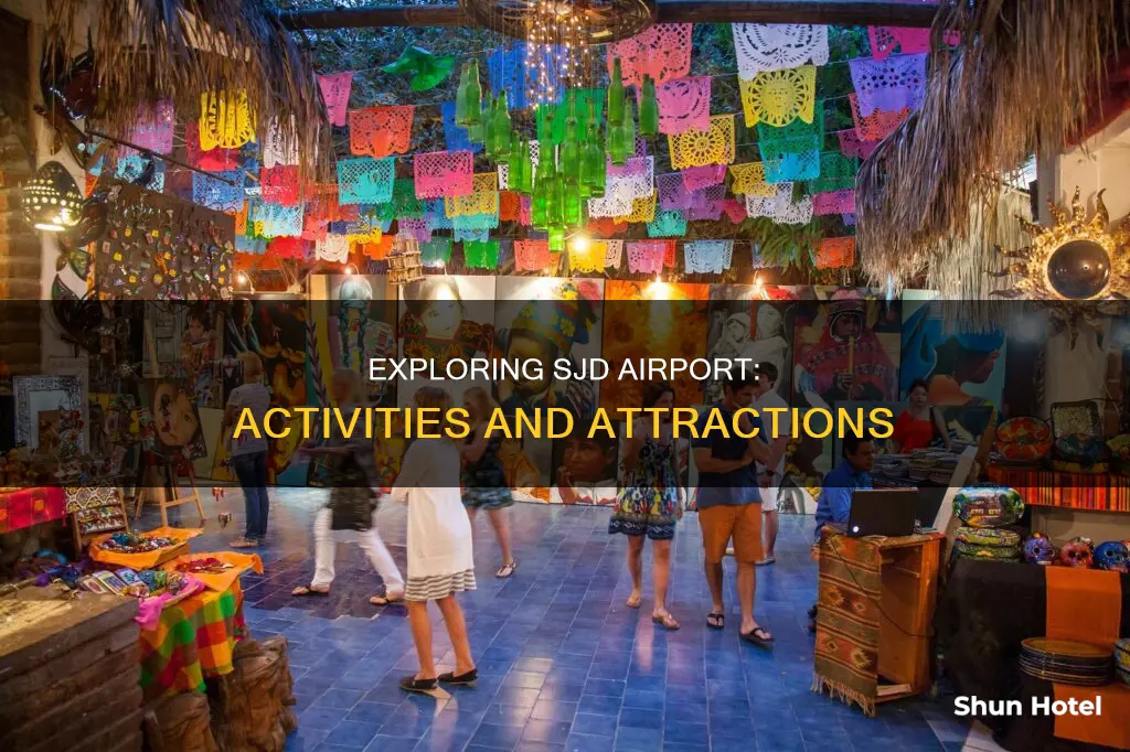 what to do at sjd airport
