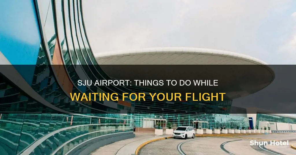 what to do at sju airport