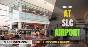 Exploring SLC Airport: Things to Do and See