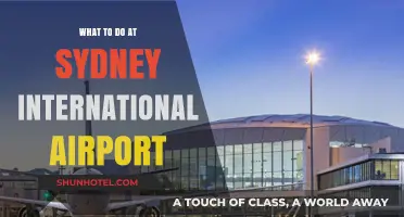 Exploring Sydney International Airport: Top Activities and Hidden Gems