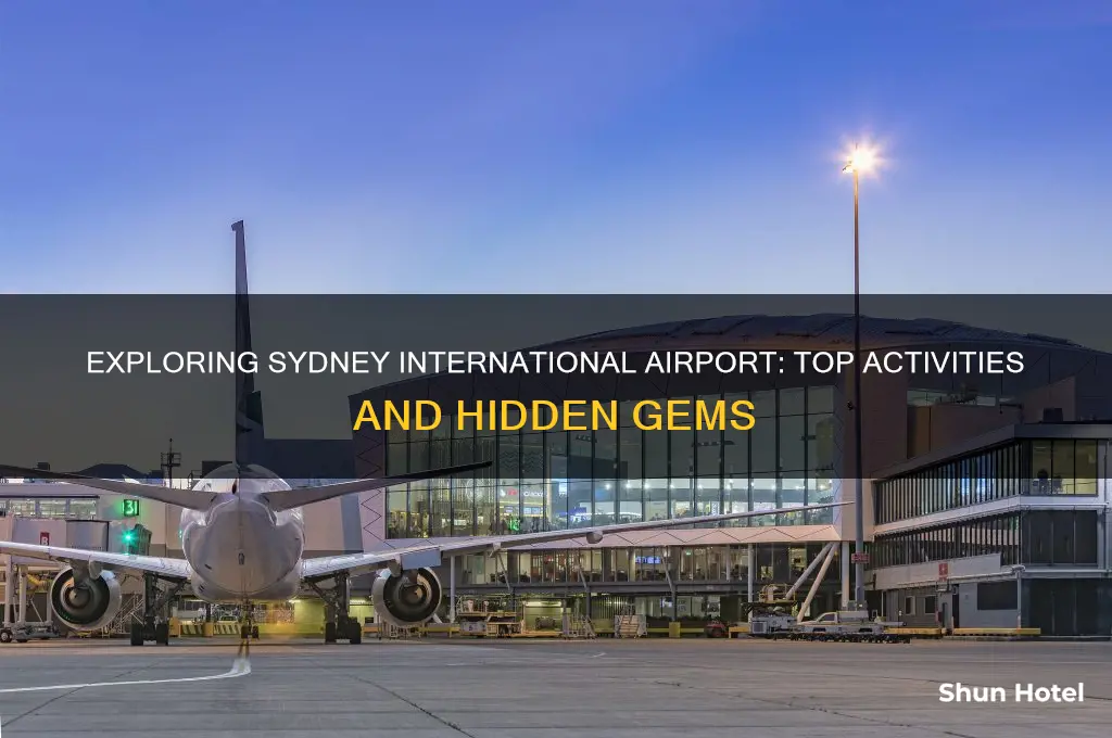 what to do at sydney international airport