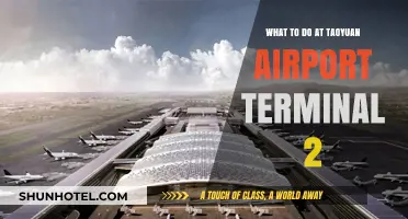 Exploring Taoyuan Airport Terminal 2: A Traveler's Guide