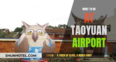 Exploring Taoyuan Airport: Activities and Attractions
