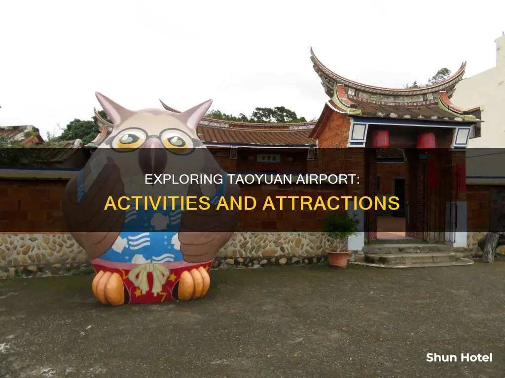 what to do at taoyuan airport