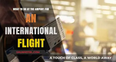 Essential Tips for Navigating International Flights at the Airport