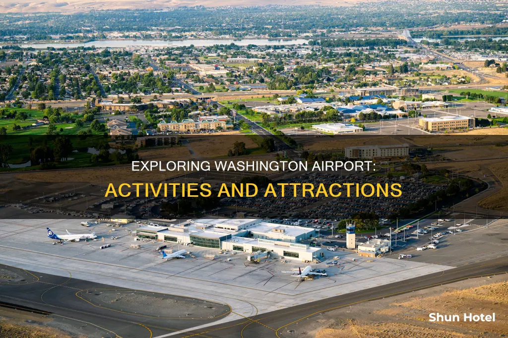what to do at washington airport