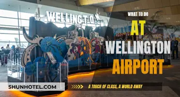 Exploring Wellington Airport: Activities and Attractions