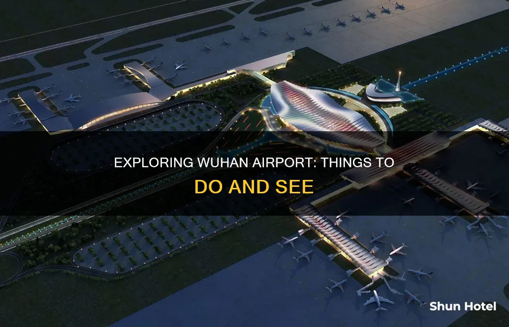 what to do at wuhan airport