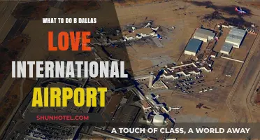 Exploring Dallas Love Field: Top Tips for Travelers and Visitors
