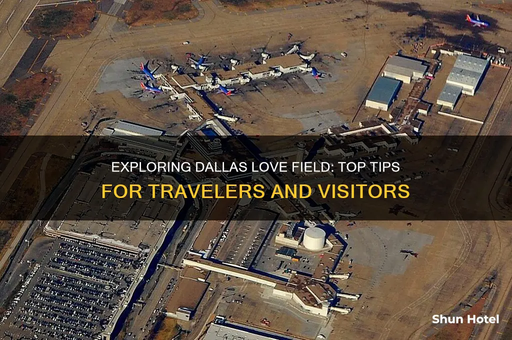 what to do b dallas love international airport
