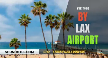 Exploring LAX: Things to Do Near the Airport