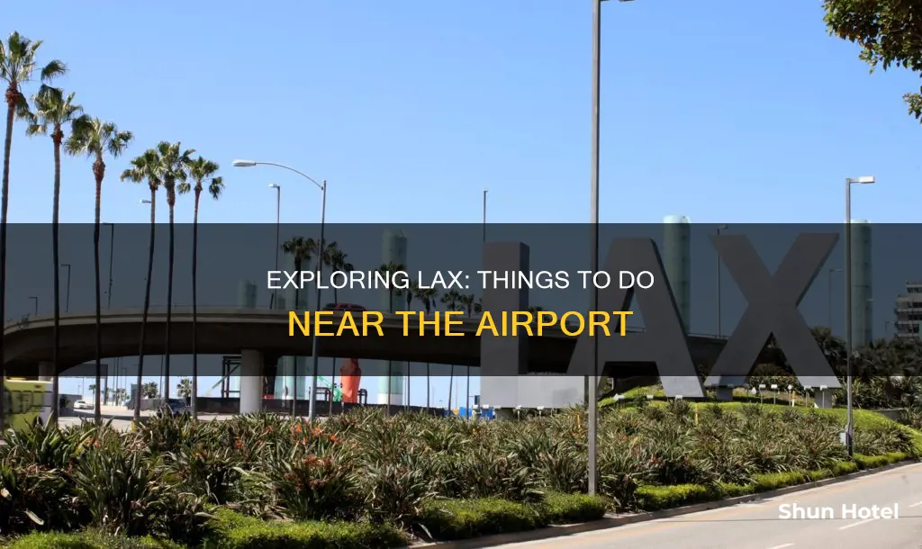 what to do by lax airport