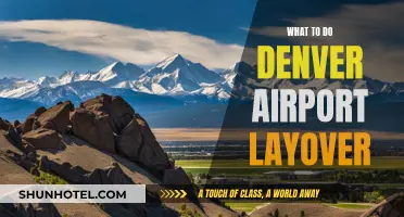 Exploring Denver During a Layover: A Quick Guide
