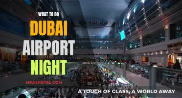 Exploring Dubai Airport: Night-time Activities and Adventures
