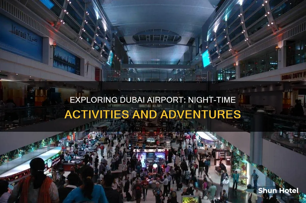 what to do dubai airport night