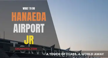 Exploring Tokyo: Things to Do at Haneda Airport and Beyond