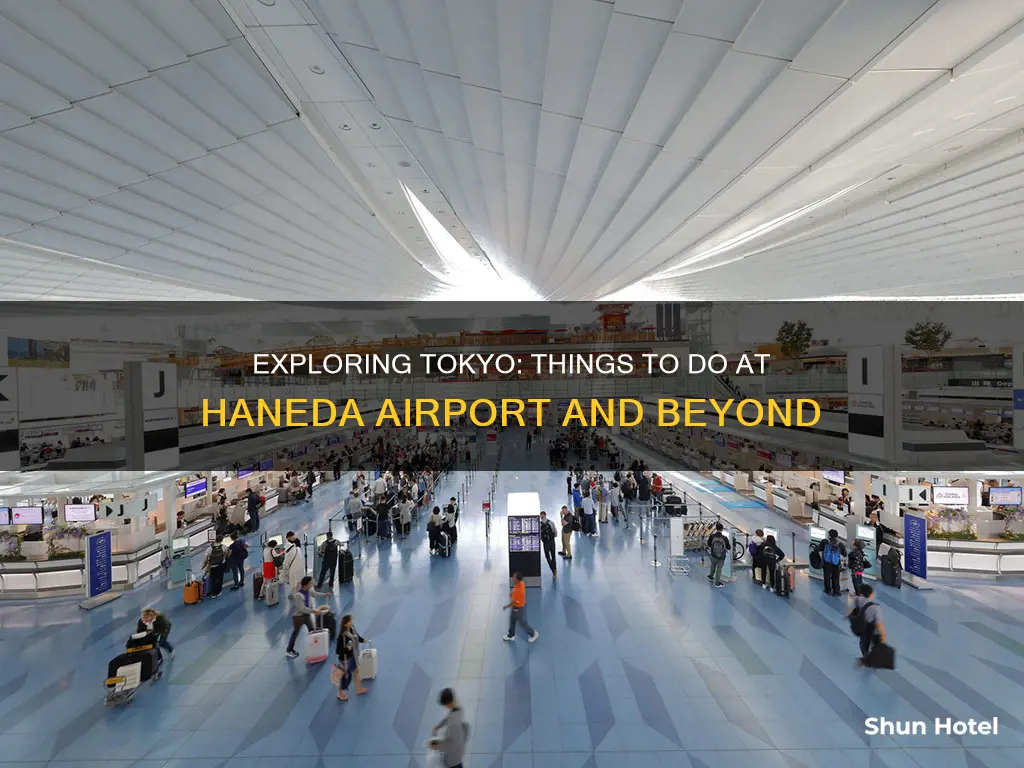 what to do hanaeda airport jr