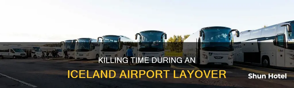 what to do iceland airport transit