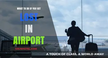 Lost in the Airport? Quick Tips to Find Your Way Easily